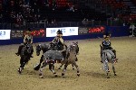 Quadrille - 00725